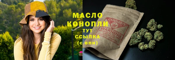 сатива Инта