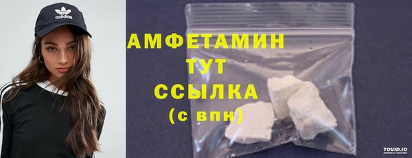 сатива Инта