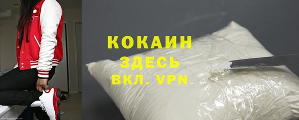 сатива Инта