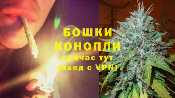 соль ск Зеленодольск