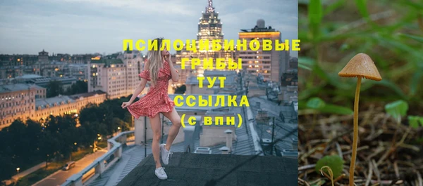 сатива Инта