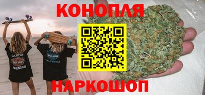 мдпв Бийск