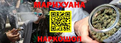 мдпв Бийск