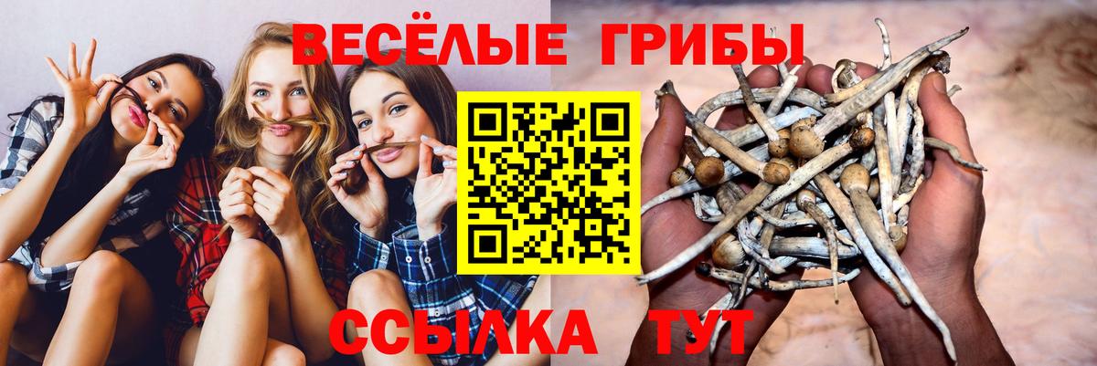 МЕТАМФЕТАМИН  Конопля  Cocaine  Вход с VPN  LSD-25  Кашира  Меф  