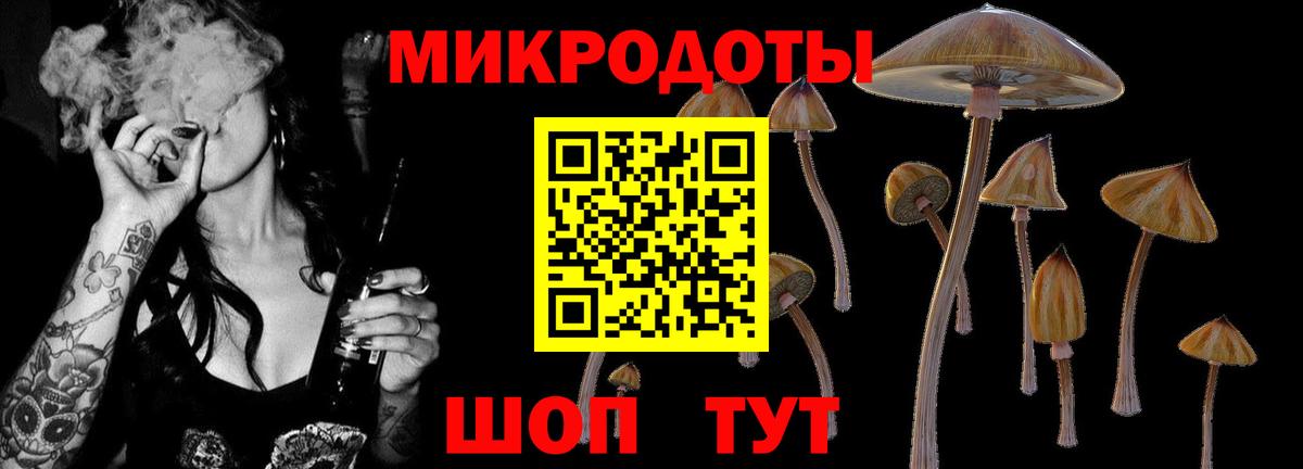 Галлюциногенные грибы мухоморы Кашира