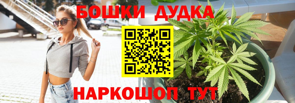 МАРИХУАНА семена Кашира